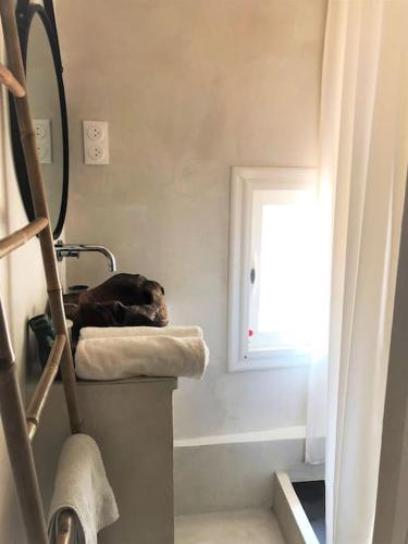 un chien dormant sur un lit de chat dans une chambre dans l'établissement artist plein centre ville historique, à Aix-en-Provence