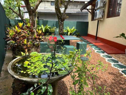 a bird bath with flowers and plants in a garden at Mount House Galle in Galle