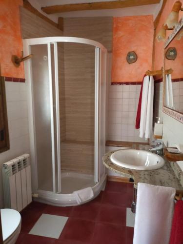 a bathroom with a shower and a sink at Casa la ilera in Casalarreina