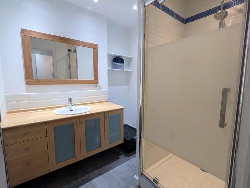 une salle de bain avec un lavabo et un miroir dans l'établissement Ker Maretz Appartement lumineux entre côte et parc, à Pornic