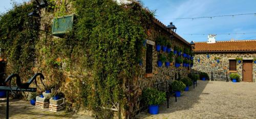 an ivy covered building with plants on the side of it at Complejo turístico El Soldado. in Villanueva del Duque
