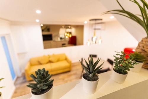 four potted plants sitting on a counter in a living room at Town House Nation, Bastille, AC by LCC Agency in Paris