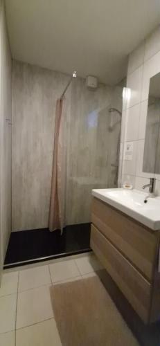 a bathroom with a shower and a sink at Kirkjufell central apartment Free parking in Grundarfjordur