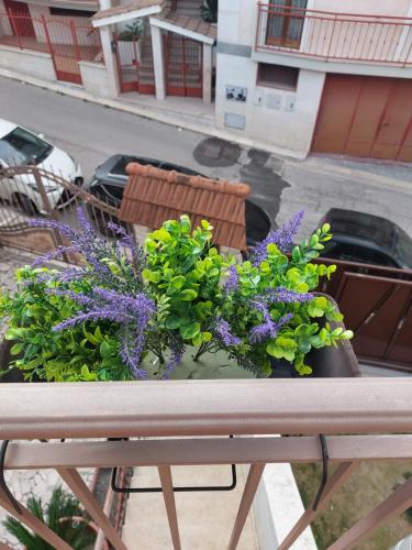 a potted plant on a table on a balcony at La Dea Busa in Canosa di Puglia