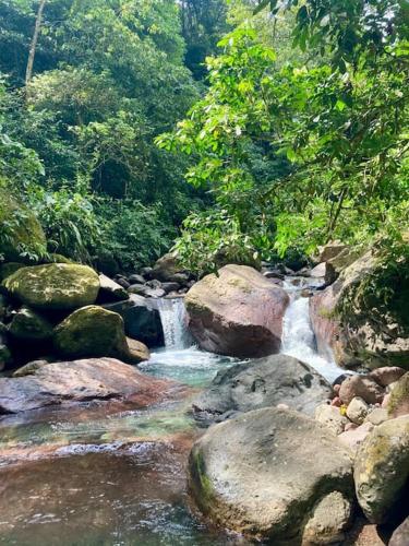 a stream of water with rocks and trees at Casa de Micos in Salinas de Cumaral