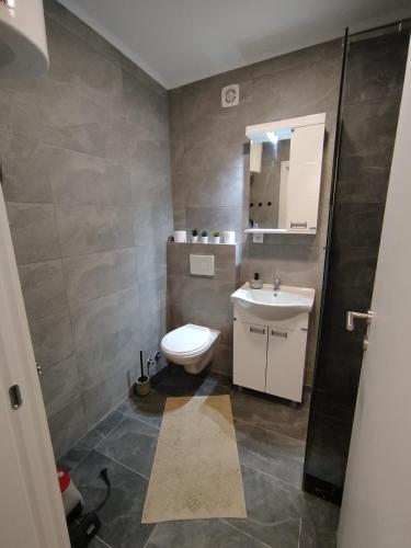 ein Badezimmer mit Toilette und Waschbecken in der Unterkunft Silver 1 & SPA in Veliko Gradište