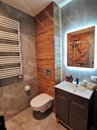 a bathroom with a toilet and a sink and a mirror at Apartament Turkusowy in Karpacz