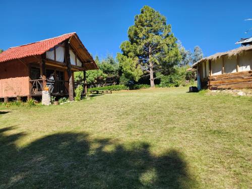 a shadow of a tree on the grass next to a building at Cabaña aguila in San Pedro Atlapulco