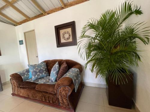 a couch in a living room with a plant at Cabaña sunrise view in Providencia