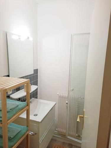 une salle de bain avec un lavabo et un miroir dans l'établissement Appartement Studio Chez Seb & Martin, à Colmar