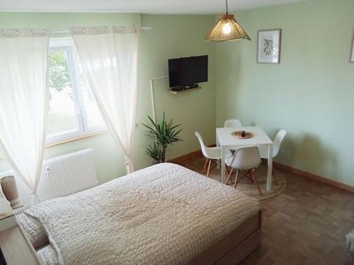 une chambre avec un lit, une table et une télévision dans l'établissement Appartement Studio Chez Seb & Martin, à Colmar