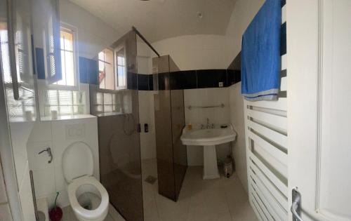 Koupelna v ubytování Chambre de Joy