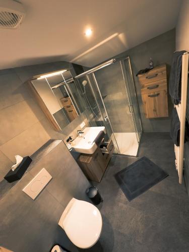 a bathroom with a toilet and a sink and a shower at Apartments Gaichtspitze in Nesselwängle
