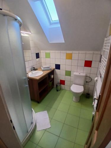a bathroom with a toilet and a sink and a skylight at Chata Kaltenbach in Vimperk