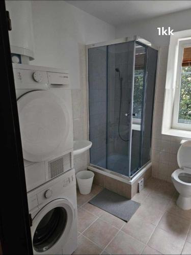 a bathroom with a shower and a washing machine at Ubytování v soukromí in Choustníkovo Hradiště