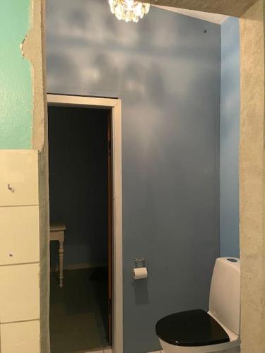 a bathroom with a toilet and a blue wall at Eventyrligt og rummeligt hus med havudsigt in Borre