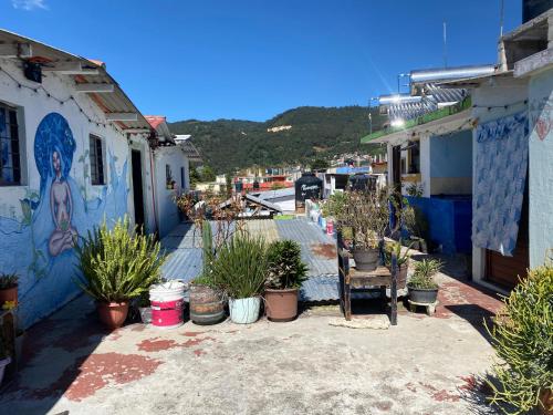 a group of potted plants sitting in front of buildings at Casa de los colores San cris in San Cristóbal de Las Casas