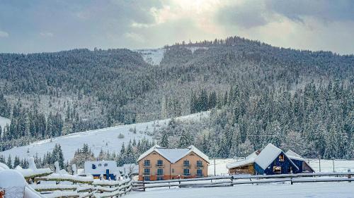 a group of houses on a snow covered mountain at Шепіт Лісу in Bukovel