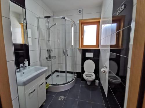 een badkamer met douche, toilet en wastafel bij Podhalańska Chatka Zakopane in Zakopane