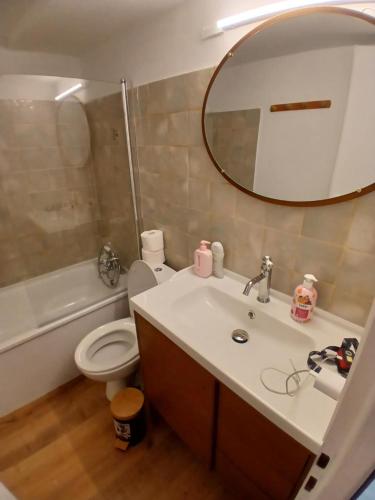 une salle de bain avec un lavabo, des toilettes et un miroir dans l'établissement Studio 20m2 - stationnement gratuit - WiFi, à Dijon