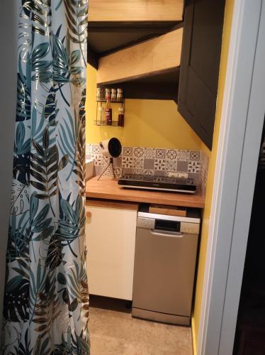 une petite cuisine avec un évier et une cuisinière dans l'établissement petit studio cosy, à Saint-Pierre-dels-Forcats