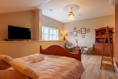a bedroom with a bed with a flat screen tv at B&B Iets Zeeuws in Kats