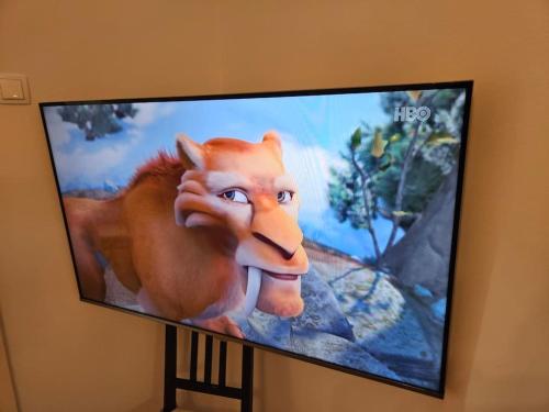 un televisor con una cabeza de león en una pared en Old city life, en Maribor