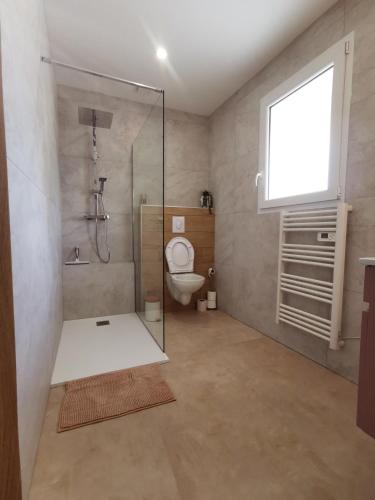 La salle de bains est pourvue de toilettes, d'une douche et d'une fenêtre. dans l'établissement Magnifique duplex neuf parking et terrasse, à Dole