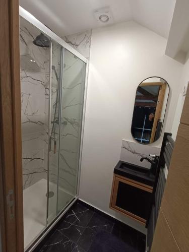 une salle de bain avec une douche, un lavabo et un miroir dans l'établissement Nid de charme pour soirée romantique, à Dijon