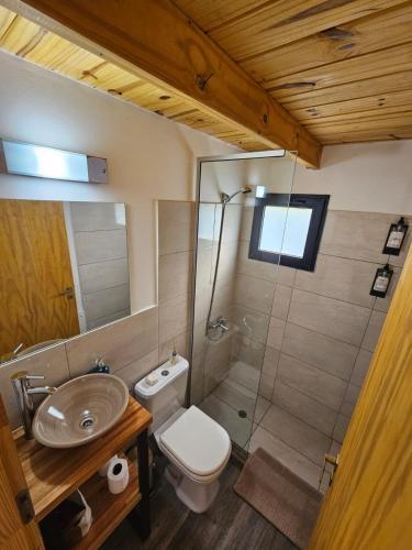 a bathroom with a toilet and a sink and a shower at Patagonia Tiny House in El Chalten