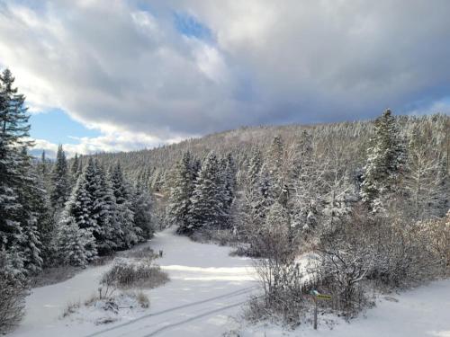 a snow covered road in a forest with trees at Le Repere Etoile au coeur de la nature in Sainte-Lucie-de-Doncaster