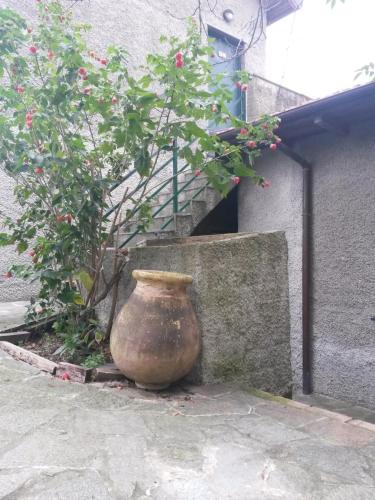 a large vase sitting next to a staircase with a plant at Agriturismo OlivArancio in Leivi