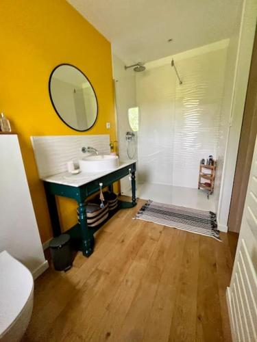 une salle de bain avec un lavabo et une douche avec un miroir dans l'établissement Maison en bois au calme, 10 min Montauban, à Corbarieu