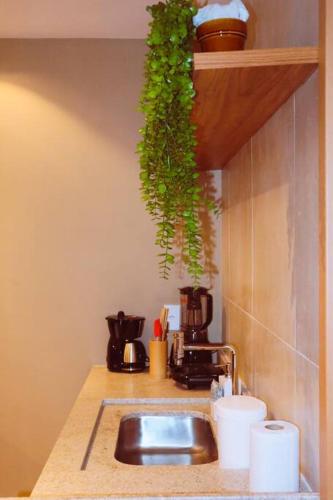 a kitchen sink with a green plant hanging over it at Manah Milagres in São Miguel dos Milagres