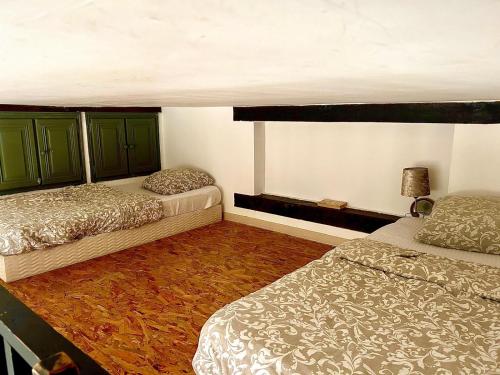 a bedroom with two beds and green cupboards at Appartement Cosy 4 personnes in Écharcon
