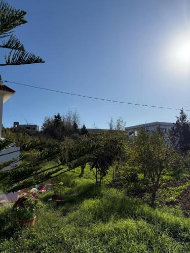 a view of a garden with trees in the grass at Villa Jade in Al Matlīn