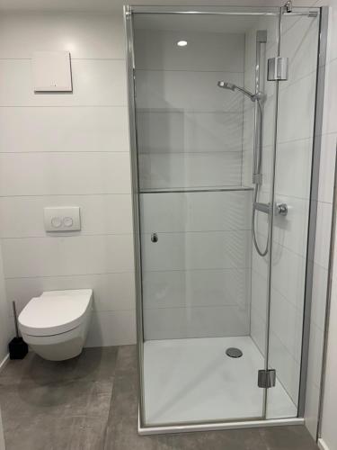 a glass shower in a bathroom with a toilet at DOM LIVING - LuxusHaus in Fulda