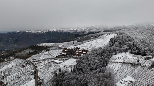 an aerial view of a mountain with trees and buildings at Mağmat Resort & Bungalows in Trabzon