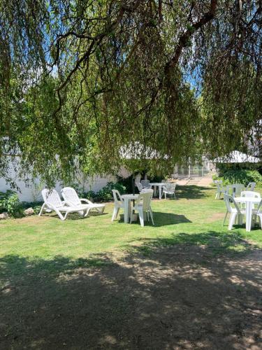 a group of tables and chairs under a tree at Sauce Viejo in Mina Clavero