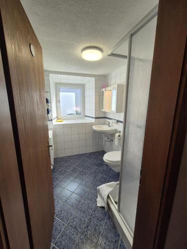 a bathroom with a toilet and a sink at Haus Crestas in Samnaun
