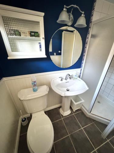 a bathroom with a toilet and a sink and a mirror at Panoramic Lakeview Suite Ultimate Comfort and Serenity in Watchung