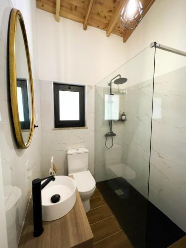 a bathroom with a toilet and a sink and a mirror at Casa Barracuda in Faja Grande