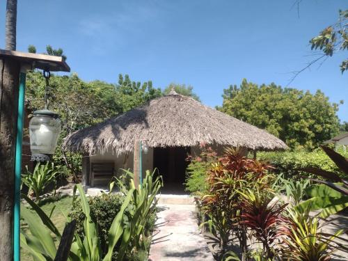 Jardin de l'établissement ECOHOTEL LAS FLORES Econativo