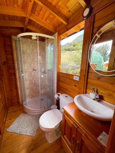 a bathroom with a shower and a toilet and a sink at Glamping Brillo de Luna in Guatavita
