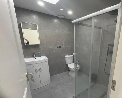 a bathroom with a shower and a toilet and a sink at Newly built modern flat with free parking close to London Luton airport and L&D hospital in Dunstable