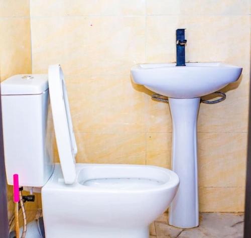 a bathroom with a white toilet and a sink at Dej's Luxury Apartment House 1 in Lekki