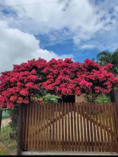 a bunch of red flowers on a wooden fence at Linda casa para o Réveillon in Imbituba