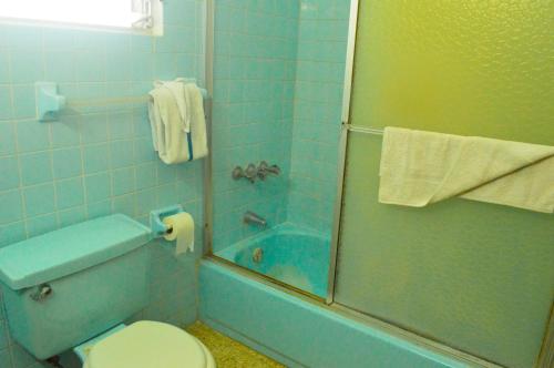 a bathroom with a shower with a toilet and a sink at Sahara dela Mer Inn in Montego Bay