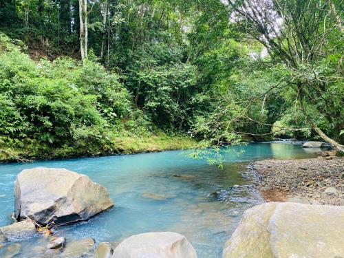 a river with blue water and rocks and trees at Blue Rriver House in Samen