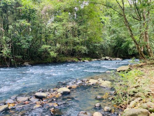 a river with rocks in the middle of a forest at Blue Rriver House in Samen